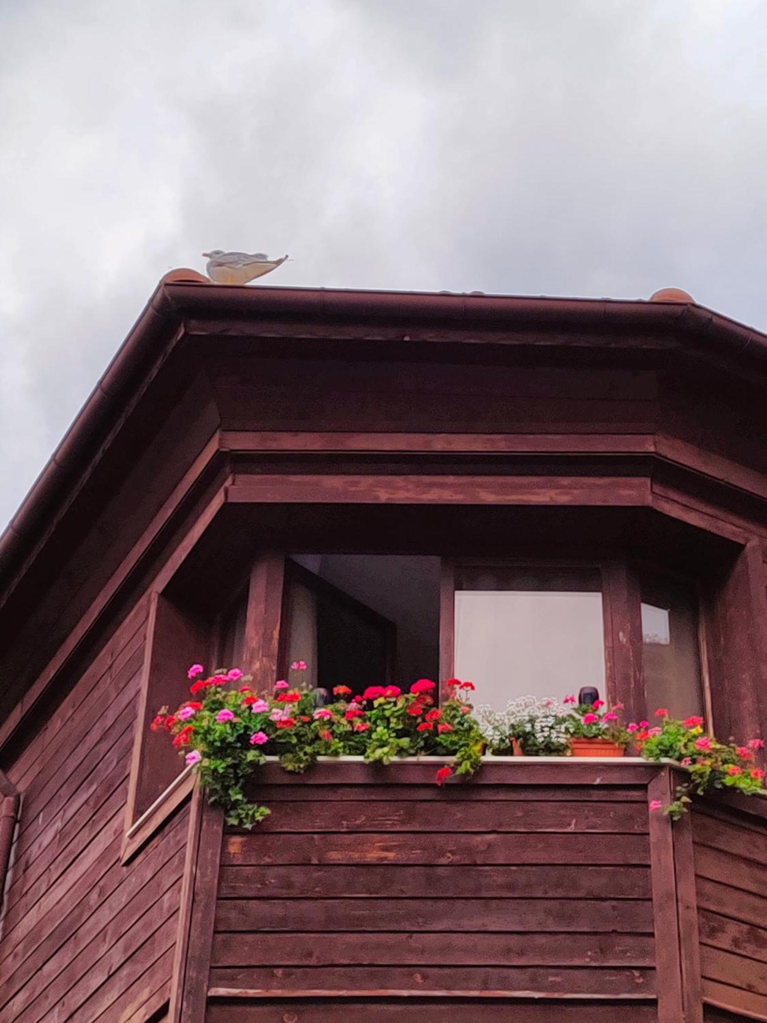 Guest Rooms Melsambria Neszebar Kültér fotó